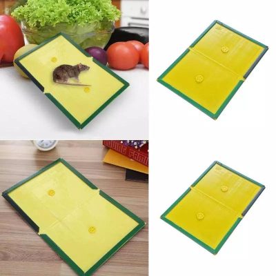 3Pc Mouse Traps