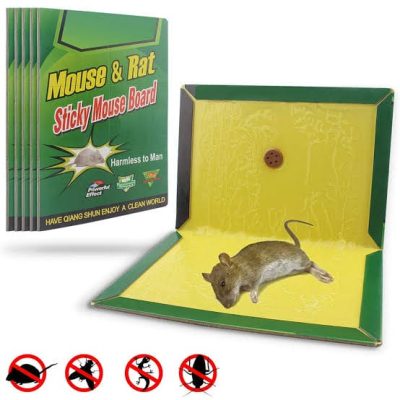 Mouse Glue Pit